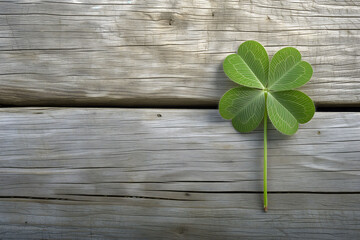 Four-leaf clover on wood. Happy St. Patrick's Day! 
