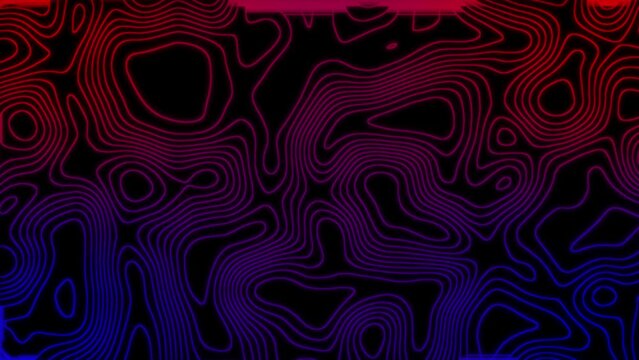 Abstract Pink and blue gradient lines swirl on a black isolated background loop/ 4k animation of an abstract wallpaper technology background, Seamless loop pattern of blue transporting lines