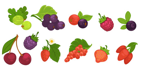 Set of ripe berries with leaves, organic product