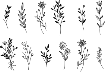 Fotobehang minimal botanical graphic sketch drawing, trendy tiny tattoo design, floral elements vector illustration © aditha