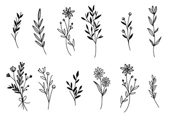 vector botanical collection of floral and herbal elements. isolated vector plants, branches and flowers in ink sketch design. hand drawn botanical doodle set for cards, invitations, logo, diy projects - obrazy, fototapety, plakaty
