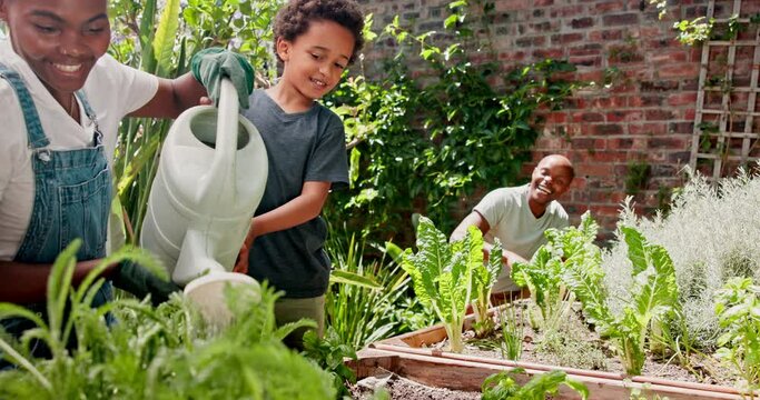 Gardening, smile and happy with black family in spring together for leisure, hobby or bonding outdoor. Mother, father and children in garden of home for growth, landscaping or watering fresh flowers