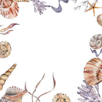 marine-themed frame. shells, corals, starfish, algae. watercolor illustration. isolated on a white background. It is suitable for the design of postcards, business cards, and design.