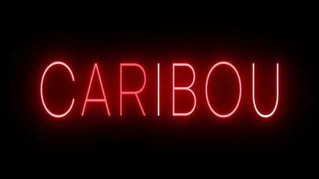 Flickering red retro style neon sign glowing against a black background for CARIBOU