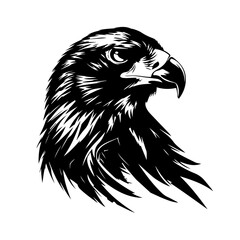 Obraz premium A detailed eagle head