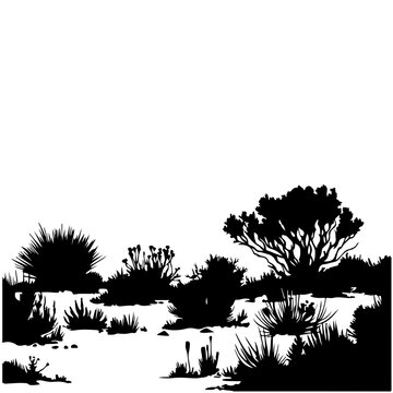 Desert plants silhouettes