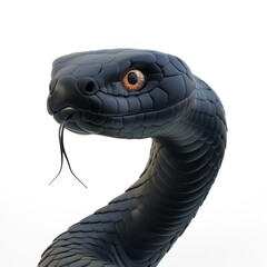 Fototapeta premium black snake on white