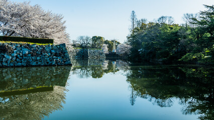 reflections in the water