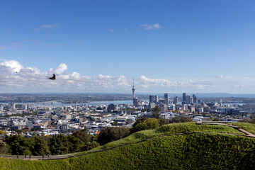 Skyline Auckland. View from the top of Mount Eden Auckland New Zealand. TV tower.