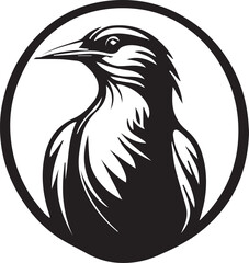 Birds Logo design