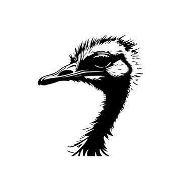 Ostrich Head In Sand Logo Monochrome Design Style