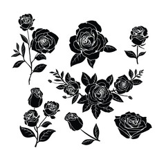 rose flower hand drawn element design