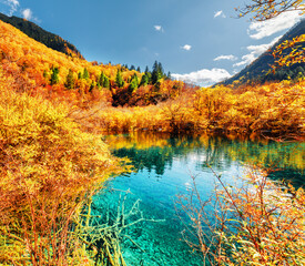 Autumn forest reflected in scenic pond with azure water