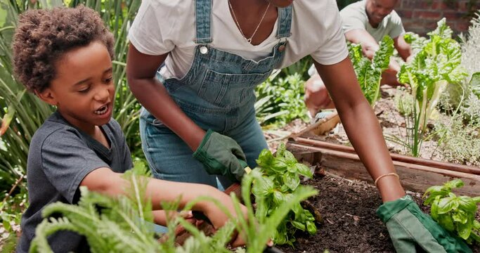 Family, garden and vegetables with a boy, plants and nature with empowerment and child development. Mother, help and agriculture with sustainability and earth day with environment and eco friendly
