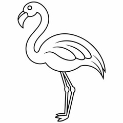 Fototapeta premium flamingo black and white vector illustration for coloring book 
