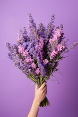A Hand Holding a Fresh Purple Lavender Flower Bouquet
