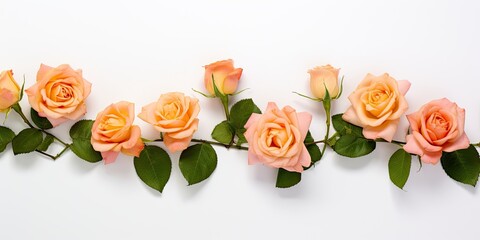 Blooming Orange Roses Form a Beautiful Garland
