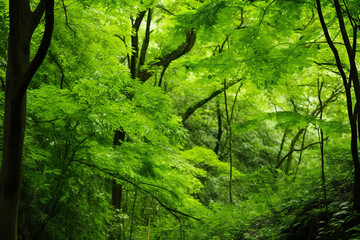 realistics green trees within ravine exude a serene majesty, with their quiet grandeur, interplay of light and foliage, and timeless presence in heart of ravine