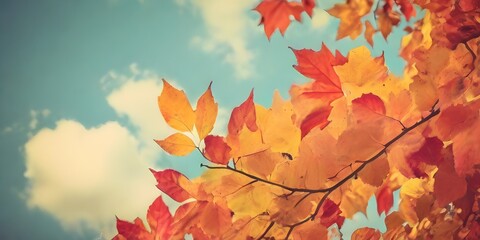 autumn leaves on the groundb maple tree leaves fall autumn season, ai Colorful acer maple leaves as a background

