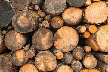 Wall made with a pile of chopped logs of different sizes. log pile background