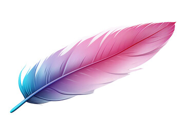 Bird feather png transparent background 