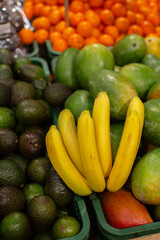 A branch of bananas against the background of other fruits in the store.