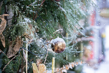 Part of a Christmas tree covered with snow against the backdrop of a blurred city.