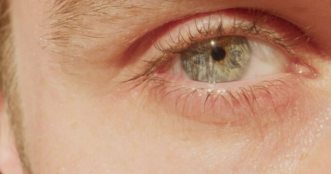 Close up of woman girl eye with long eyelashes, Beautiful green Eye of Young Woman Opening Up And Closing.