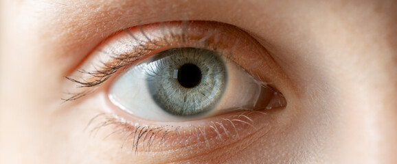 Detail view of blue iris eye. Macro shot.