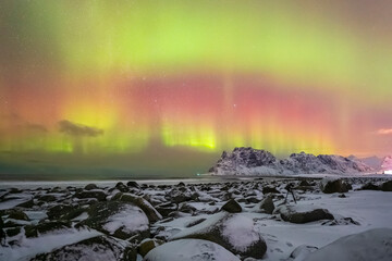 Northern lights aurora borealis taken during snow covered winter season on Lofoten islands in Norway