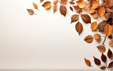Black leaves border isolated on white artistic background from Generative AI