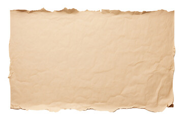 Fototapeta premium Piece of torn cardboard paper on transparent PNG background Generative Ai