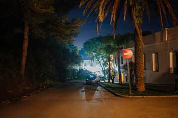 Sotogrande, Spain - January, 23, 2024 - night scene on a residential street with a no-entry sign, palm trees, a parked car, and a house with lights on.