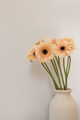 Pastel gerbera flowers bouquet in white clay vase over white background. Front view minimal floral composition