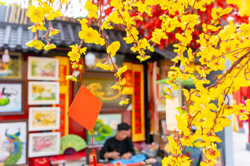 Ochna integerrima (Hoa Mai) tree with lucky money. Traditional culture on Tet Holiday in Vietnam....