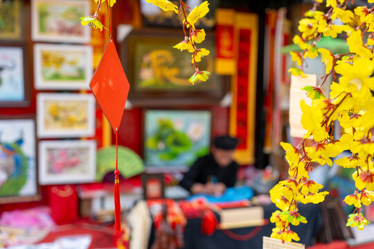 Ochna integerrima (Hoa Mai) tree with lucky money. Traditional culture on Tet Holiday in Vietnam. Vietnamese scholar writes calligraphy at lunar new year in blurred background.