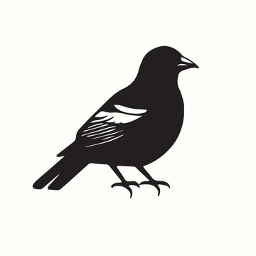 illustration of a bird wildlife