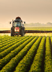 Tractor spraying soybean crops field © Dusan Kostic