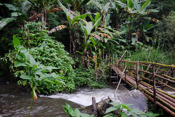 Natural Wooden bridge wet crossing the stream and wild grass of tropical rain forest in national park at Thailand