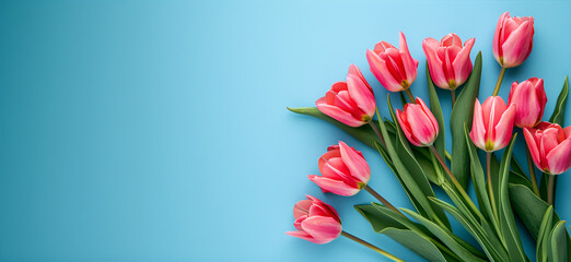 Lying tulip flowers of white tulips on a yellow background, free space on the left, horizontal. Valentine's day or spring concept. - obrazy, fototapety, plakaty