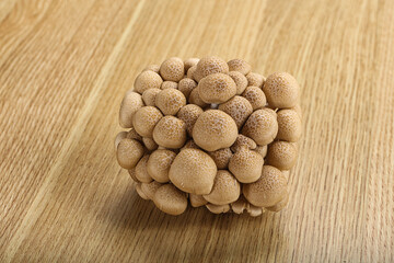 Raw asiam delicacy mushroom Shimeji © Andrei Starostin
