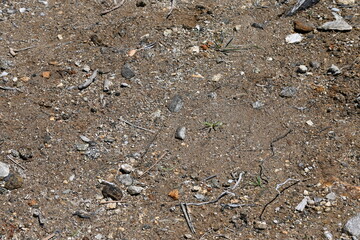 Dirt ground