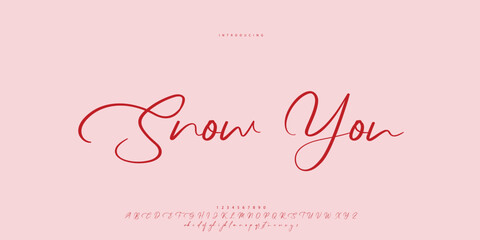 signature Font Calligraphy Logotype Script Brush Font Type Font lettering handwritten