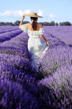 A girl in  lavender  field