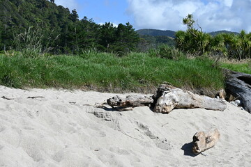 Sandy beach with mountain backdrop