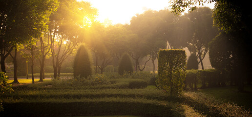 Banner Paris green park Fountain in garden sunlight on sunrise. Panorama Paris Garden with fountain and green bush in morning. Blurred background nature park fountain scenic with copy space - obrazy, fototapety, plakaty