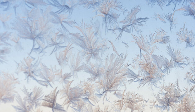 Morning Frost Flurry © Vagengeim