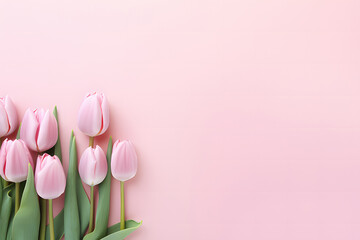 pink tulips in a row on a pink background ai generative