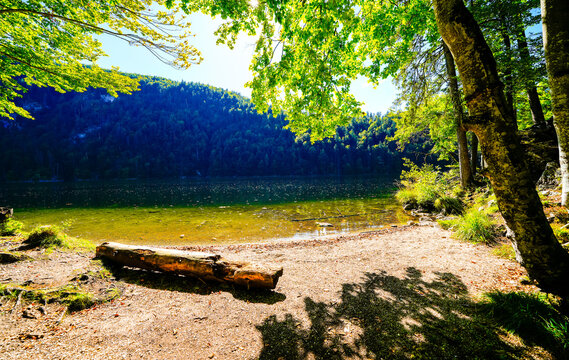 View of Lake Toplitz and the surrounding landscape. Idyllic nature by the lake in Styria in Austria. Mountain lake at the Dead Mountains in the Salzkammergut.
