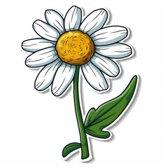 sticker of a daisy flower - isolated on a white background